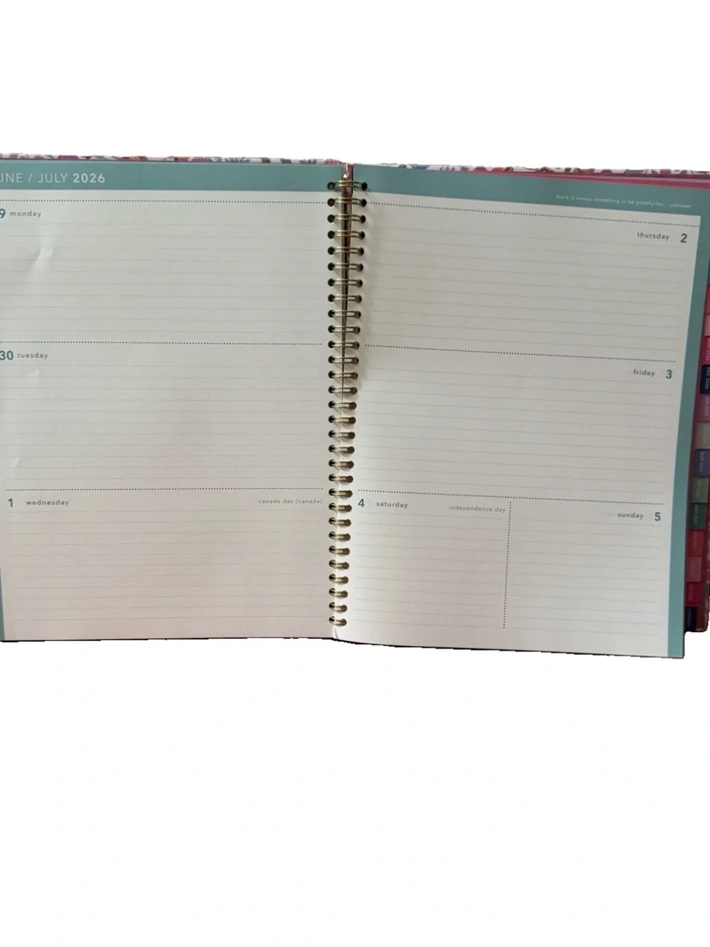 Clementine Paper inc.12 month Large Size Planner 11x9” Cat Pink Floral 2026-2027